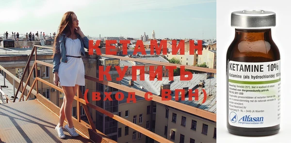 сатива Вязьма