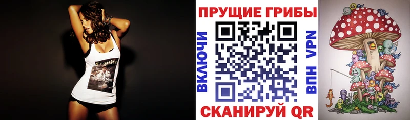 Псилоцибиновые грибы мицелий  Игарка 